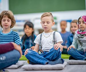 Focusing on social and emotional learning and student success: Experiences and resources