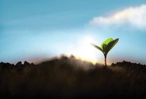 tools resilient educators cultivate positive mindsets