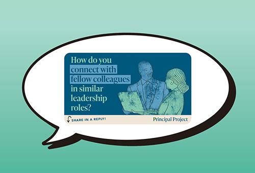 how do you connect with your fellow colleagues in similar leadership roles?